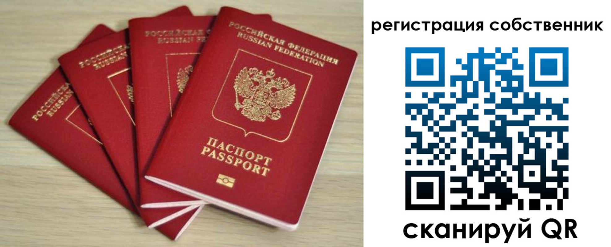 прописка регистрация в Новоузенске